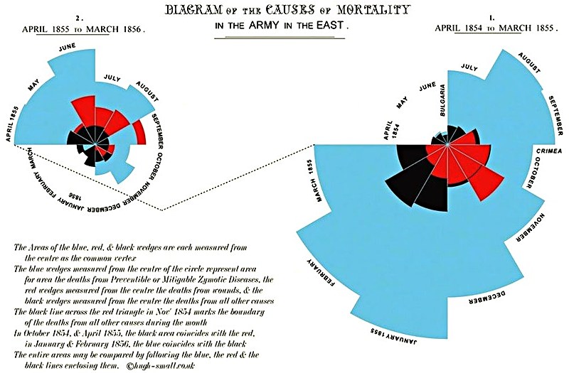 image - Diagram of the causes of mortality